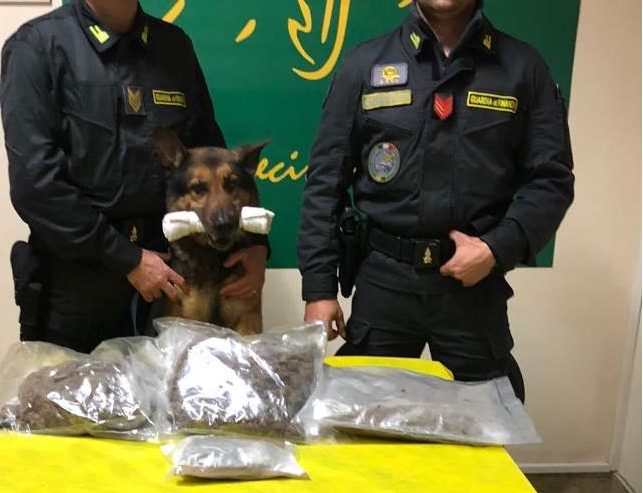 Giarre, beccato allo svincolo autostradale corriere con 1,8 kg di droga