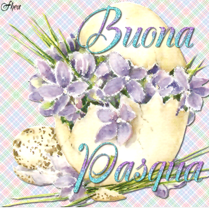 Pasqua