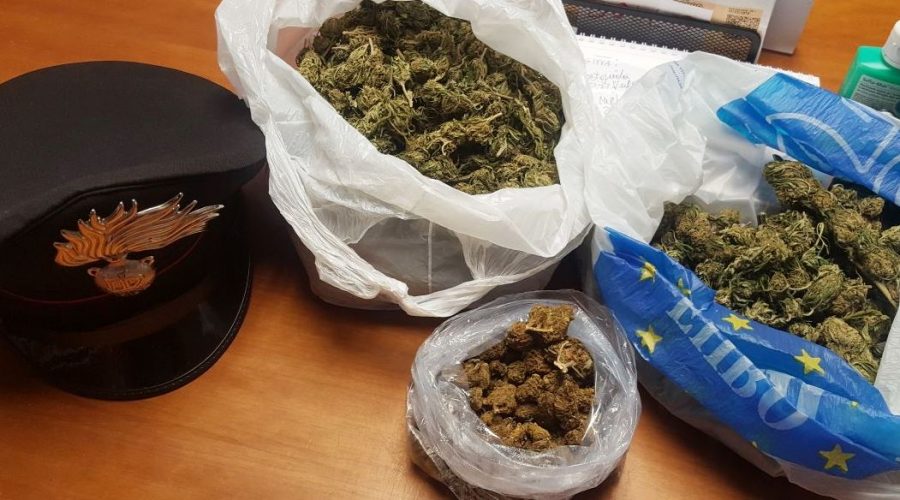 Maletto, beccato 37enne con oltre mezzo kg di marijuana: arrestato