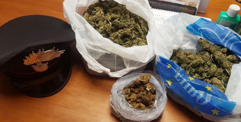 Maletto, beccato 37enne con oltre mezzo kg di marijuana: arrestato