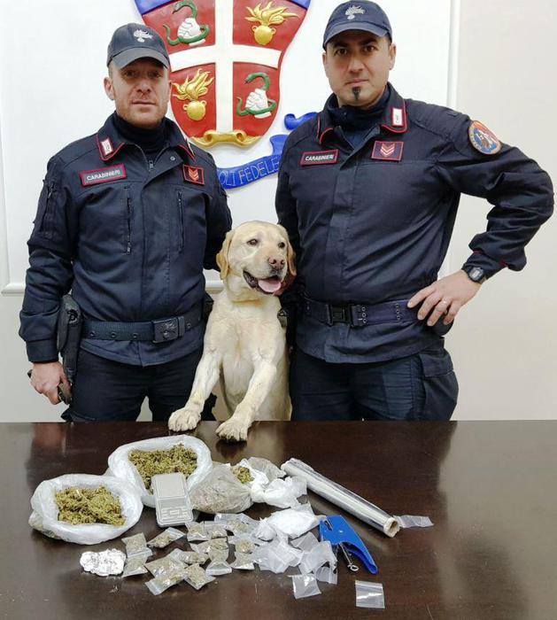 Paternò, serrati controlli antidroga dei carabinieri