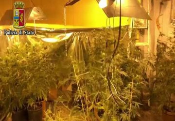 Catania, droga e serra "fai da te" con cannabis. In manette 24enne VIDEO