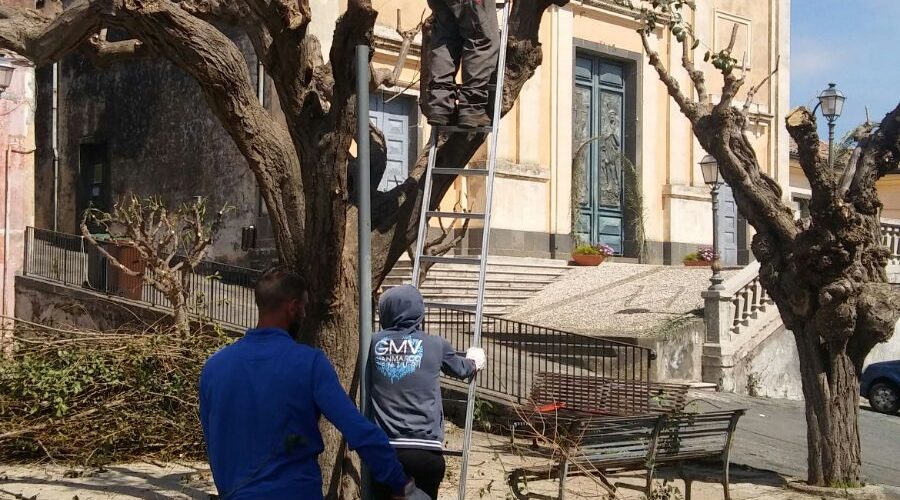 Mascali, interventi potatura alberi aree a verde frazioni
