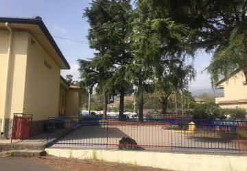 Giarre, allarme processionaria al plesso Jungo, i genitori accusano il Comune di immobilismo