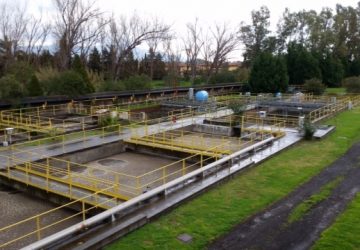 Mascali, ricorso su nomina Cda Consorzio di depurazione: la replica piccata del sindaco Angelo D'Anna