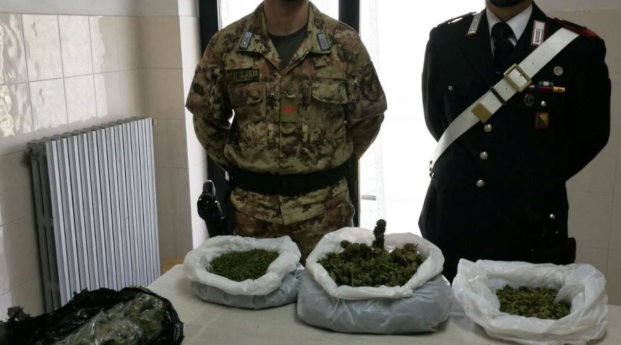 Maniace, beccato in casa con 1,6 kg di marijuana. Arrestato
