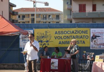 Intensa attività nel 2017 dell'associazione animalista Arca