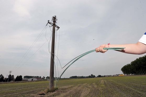 Furto cavi elettrici a Puntalazzo. I carabinieri arrestano in flagranza tre “cercatori di oro rosso”