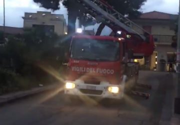 Trepunti, intervento di messa in sicurezza alberi dei Vigili del fuoco