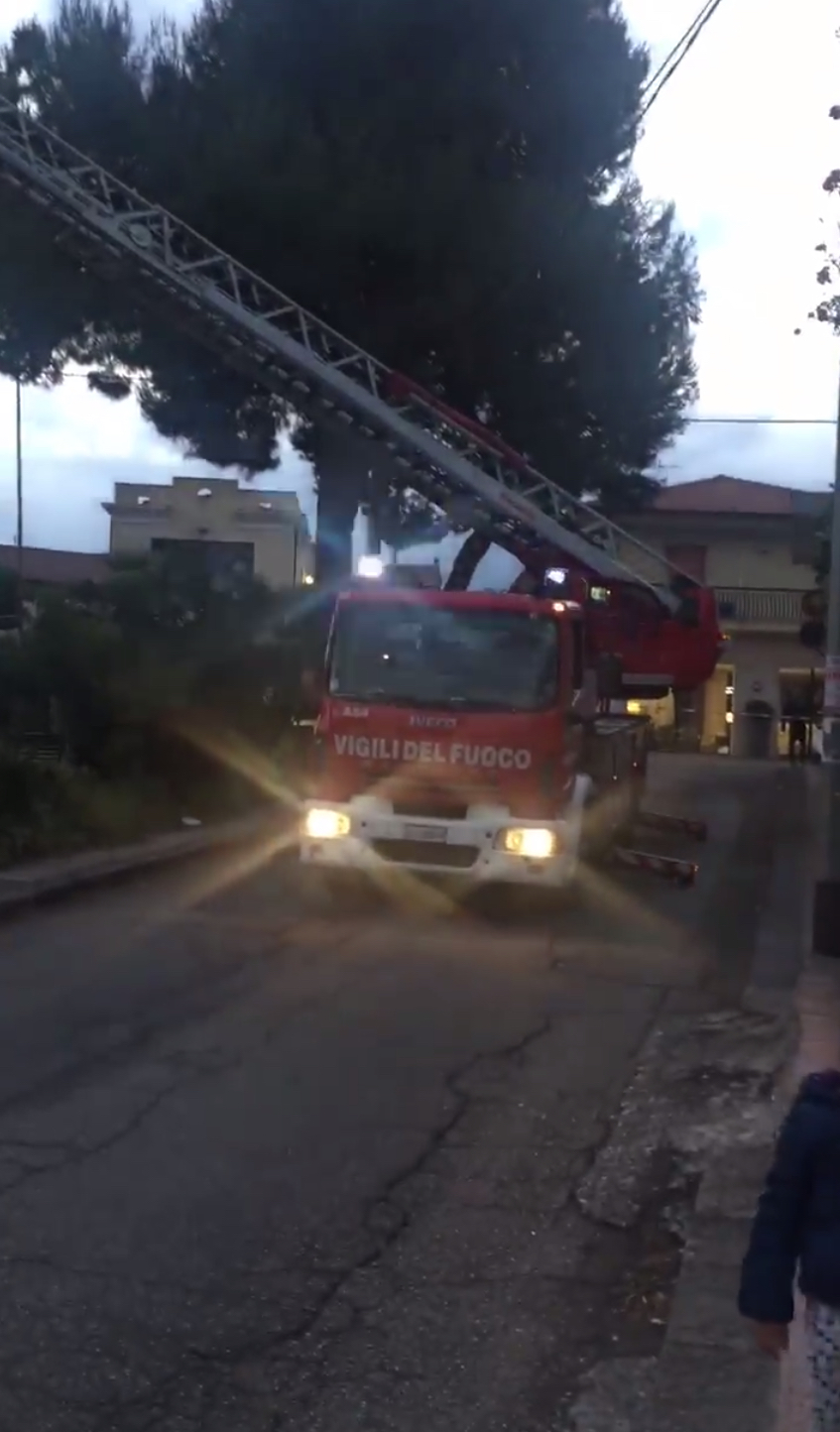 Trepunti, intervento di messa in sicurezza alberi dei Vigili del fuoco