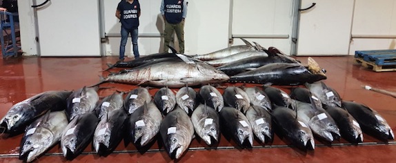 Riposto, nuovo sequestro di tonno rosso. Sanzioni per 8 mila euro