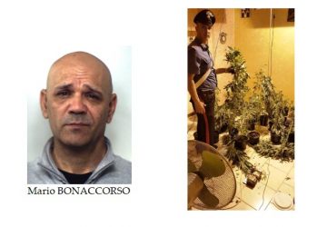Acireale, coltivava canapa indiana in casa: pregiudicato in manette