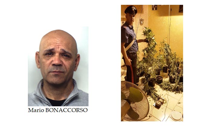 Acireale, coltivava canapa indiana in casa: pregiudicato in manette