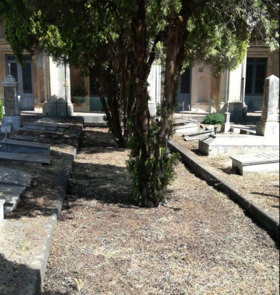 Cimitero di Trepunti, ultimati interventi di riqualificazione del verde. In itinere procedimento per riaprire l’area monumentale