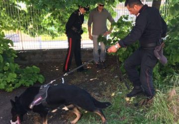 Giarre, controlli antidroga al liceo Artistico "Guttuso"