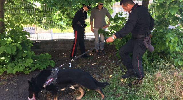Giarre, controlli antidroga al liceo Artistico “Guttuso”