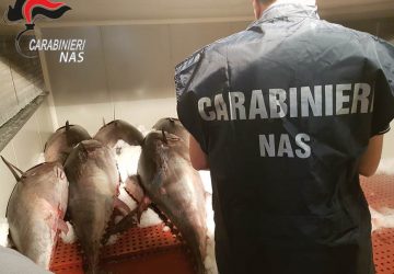 Catania, sequestrate due tonnellate di tonno rosso venduto abusivamente VIDEO