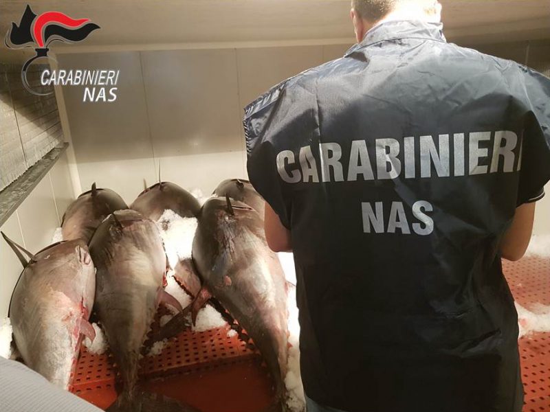 Catania, sequestrate due tonnellate di tonno rosso venduto abusivamente VIDEO