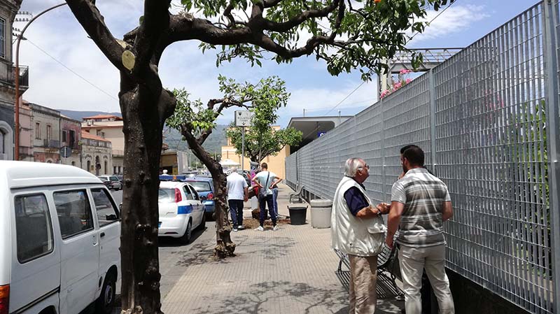 Rotary dona alberelli di arancio amaro al Comune di Giarre