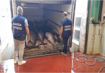 Riposto, sequestrate 4 tonnellate di tonno rosso privo di tracciabilit&agrave;