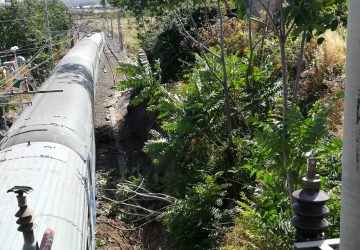 Fiumefreddo, vento abbatte grosso ramo che finisce sulla linea ferrata. Intervento dei Vigili del fuoco