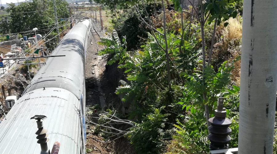 Fiumefreddo, vento abbatte grosso ramo che finisce sulla linea ferrata. Intervento dei Vigili del fuoco