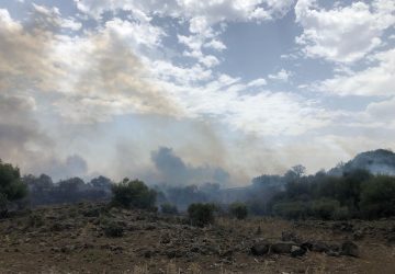 Acireale, incendio nella riserva della Timpa. Intervengo i Canadair