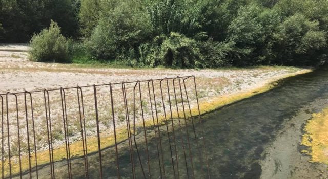 Blitz di Goletta Verde alla foce dell’Alcantara: livelli di inquinamento altissimi FOTO