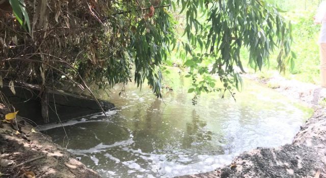 Blitz di Goletta Verde alla foce dell’Alcantara: livelli di inquinamento altissimi FOTO