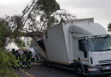 Area Jonica, forti raffiche di vento. In A18 albero colpisce un camion: feriti due giarresi. Danni anche a Giarre e su A18