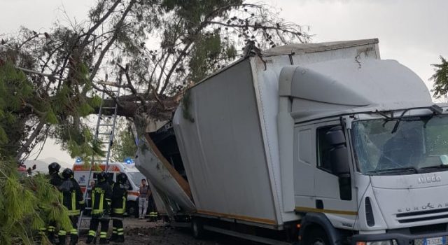 Area Jonica, forti raffiche di vento. In A18 albero colpisce un camion: feriti due giarresi. Danni anche a Giarre e su A18