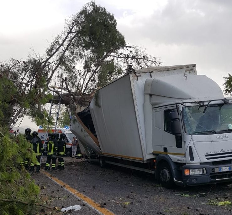 Area Jonica, forti raffiche di vento. In A18 albero colpisce un camion: feriti due giarresi. Danni anche a Giarre e su A18