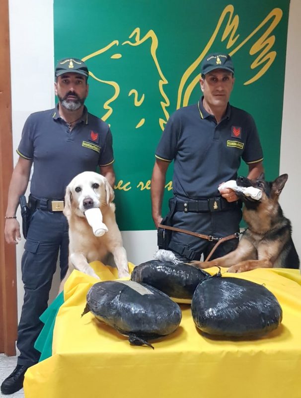 Catania, fermata dalle Fiamme gialle nigeriana con 7 chili di “erba”