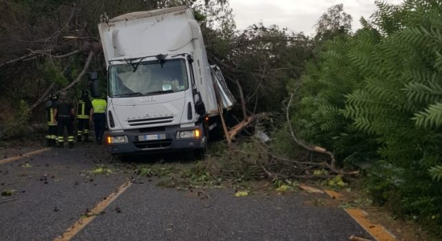 Area Jonica, forti raffiche di vento. In A18 albero colpisce un camion: feriti due giarresi. Danni anche a Giarre e su A18