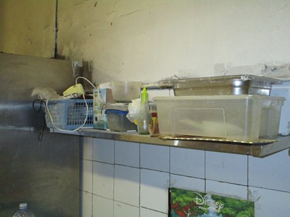 Catania, controlli a tappeto della polizia in rivendite di frutta e verdura e panifici