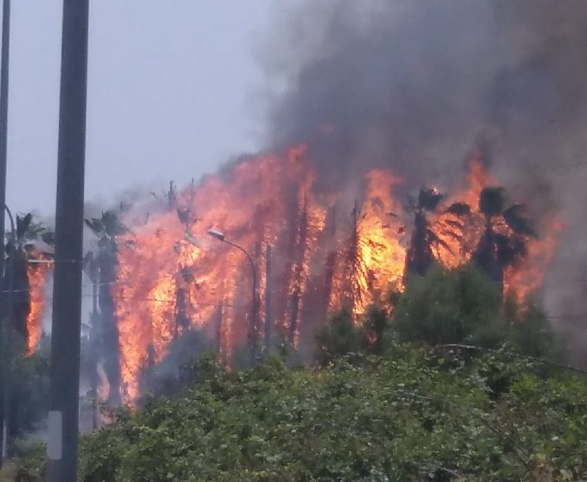 Giarre e Riposto: inferno di fuoco per un duplice incendio. Intervento dei VVF e Forestale VIDEO