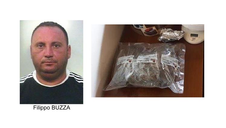 Scovata piantagione di canapa indiana, sequestrato oltre mezzo Kg di “fumo”. Un arresto