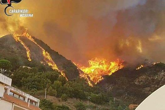 Provocò un incendio che ha distrutto più di 500 ettari di vegetazione: arrestato FOTO