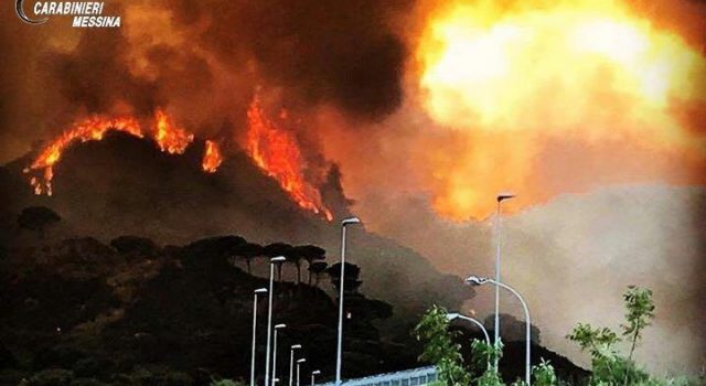 Provocò un incendio che ha distrutto più di 500 ettari di vegetazione: arrestato FOTO