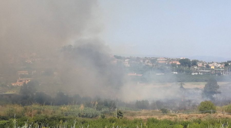 Calatabiano, vasto incendio nei pressi della stazione Fs. Impegnati diversi mezzi dei Vigili del fuoco