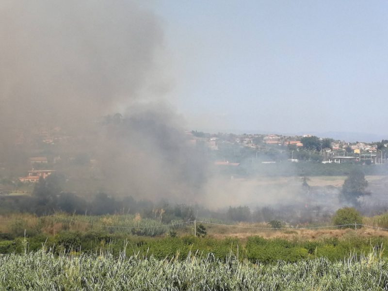 Calatabiano, vasto incendio nei pressi della stazione Fs. Impegnati diversi mezzi dei Vigili del fuoco