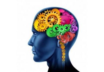 Tutto quello che c'&egrave; da sapere sugli Sport della Mente