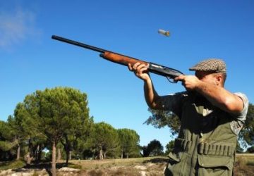 Caccia in Sicilia, Wwf contro calendario venatorio "allargato": "Prevista una mattanza"