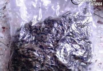 Catania, occultava la droga nel soggiorno di casa: pusher in manette. Sequestrato 1 Kg di marijuana.