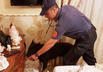 Catania, arrestarono la moglie con 6 Kg di cocaina e lui era riuscito a fuggire. Trovato e arrestato