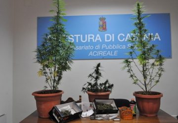 Acireale, coltivazione e detenzione di sostanze stupefacenti: due denunce