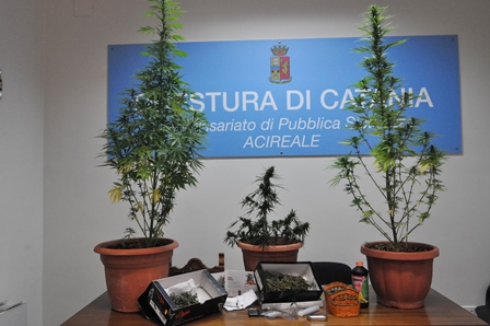 Acireale, coltivazione e detenzione di sostanze stupefacenti: due denunce