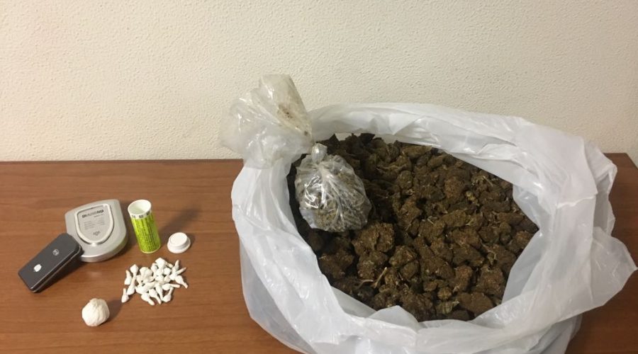 Catania, controlli interforze di Polizia e Guardia di finanza:  sequestro di 1,4 kg di “erba”