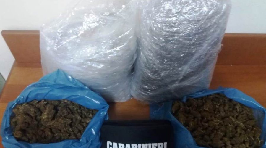 Librino, detenevano 5 chili di marijuana: due arresti