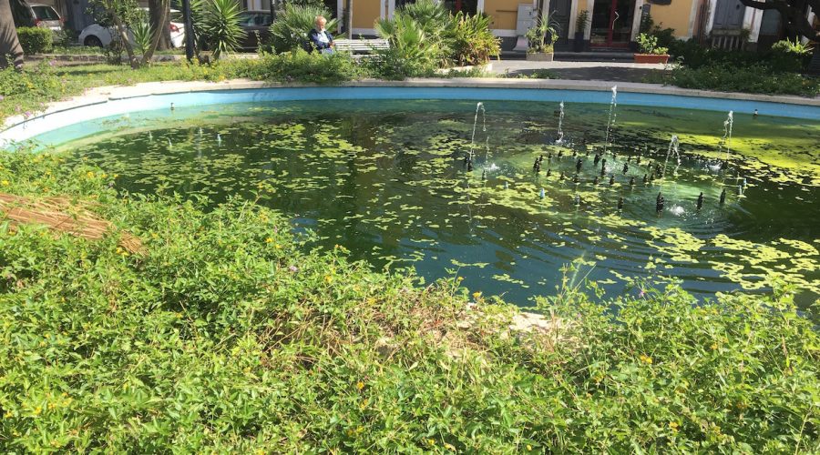 Giarre, il quartiere “bene” della città che ha votato D’Anna nel degrado VIDEO